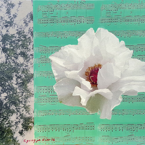 Nature’s Rhythm 1601