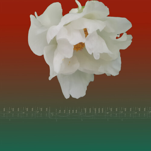 Nature’s Rhythm 1906