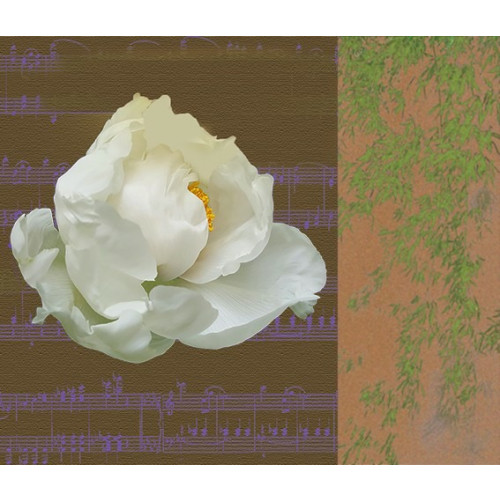 Nature’s Rhythm 2401