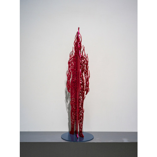 Space IDEA 2025 - The Spectrum of Existence 2