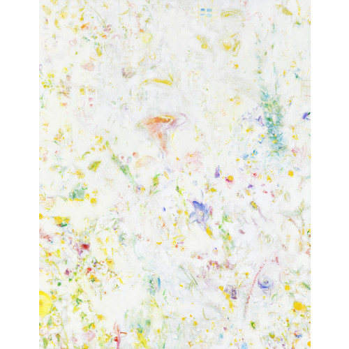 Afterimage 살라망카의 기억