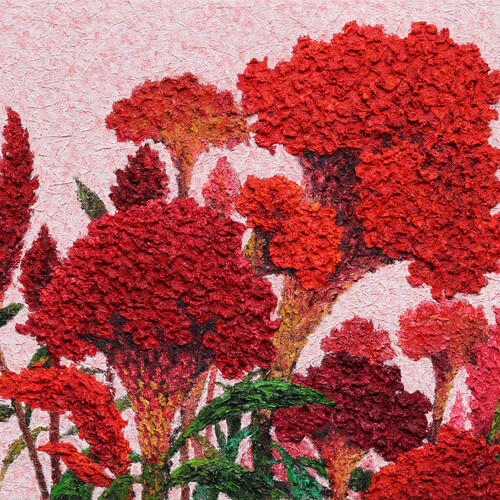 COCKSCOMB-당신을 바라보며