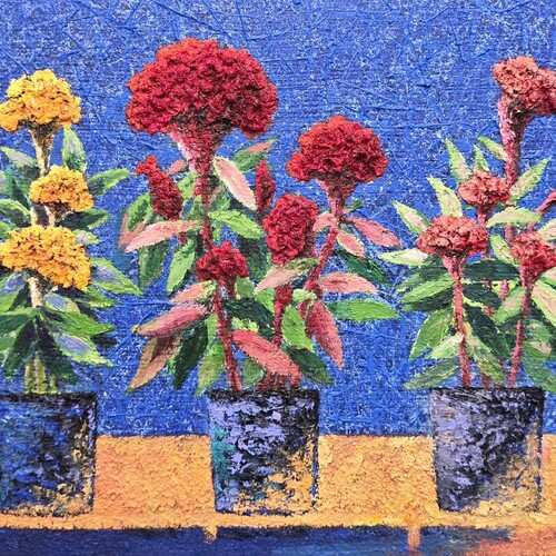 COCKSCOMB-함께하기