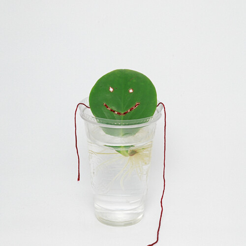 사랑했다고 말한다