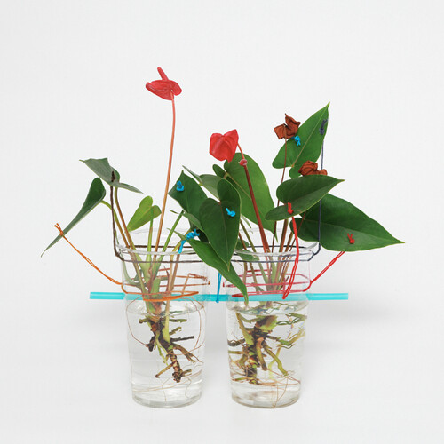 사랑했다고 말한다