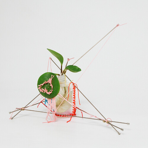 사랑했다고 말한다