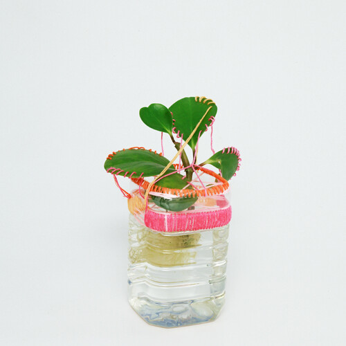 사랑했다고 말한다